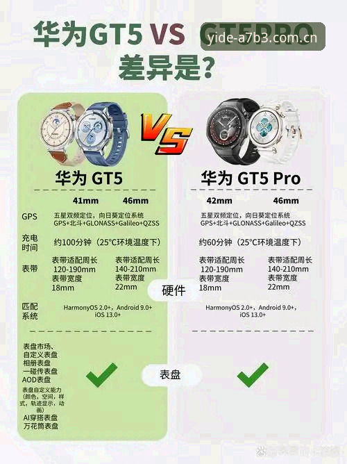 亿德体育平台基础版vs极致版：功能差异与选择指南，极致版功能详解让你一目了然